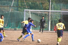 img0109.jpg