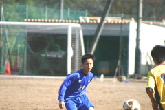img0115.jpg
