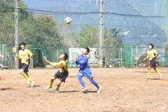 img0152.jpg