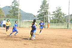 img0156.jpg