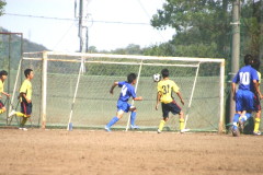 img0173.jpg
