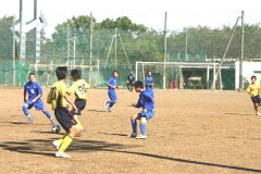 img0207.jpg