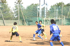 img0225.jpg