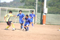 img0229.jpg