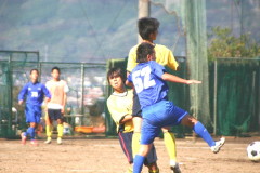 img0236.jpg