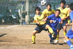 img0238.jpg