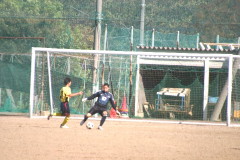 img0241.jpg