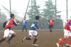 img0010.jpg