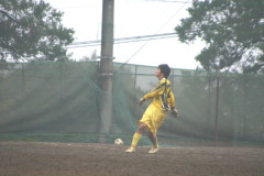 img0061.jpg