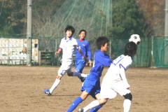 img0082.jpg