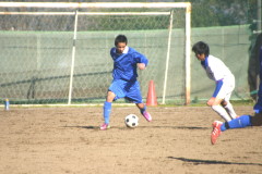 img0111.jpg