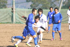 img0115.jpg
