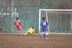 img0010.jpg