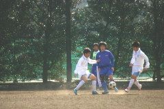 img0091.jpg
