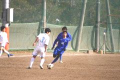 img0095.jpg