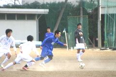 img0113.jpg
