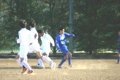 img0185.jpg