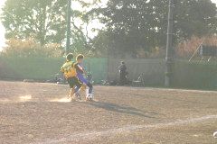 img0061.jpg