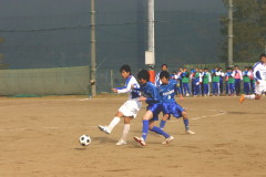 img0016.jpg
