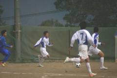 img0031.jpg