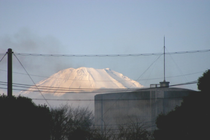 img0010.jpg