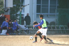 img0201.jpg