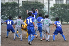 img0042.jpg