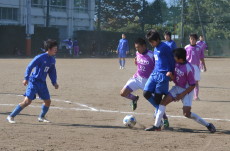 img0037.jpg