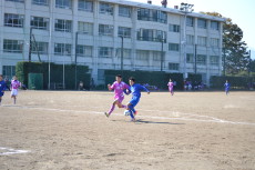 img0046.jpg