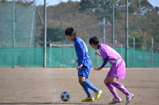 img0071.jpg