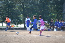 img0101.jpg