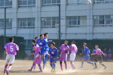 img0168.jpg