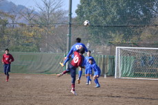 img0010.jpg