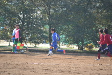 img0027.jpg