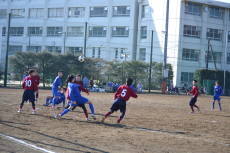 img0029.jpg