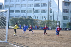 img0056.jpg