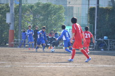 img0010.jpg