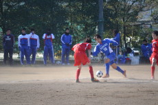 img0036.jpg
