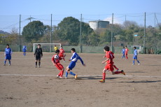 img0041.jpg