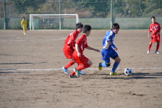 img0049.jpg