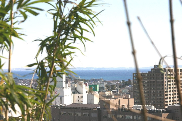 img0055.jpg