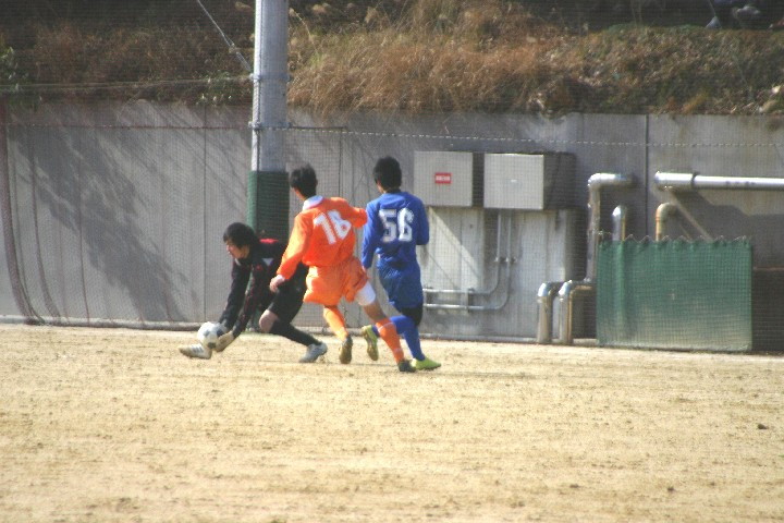 img0061.jpg
