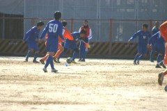 img0015.jpg