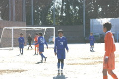 img0017.jpg