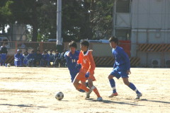 img0027.jpg