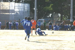 img0035.jpg