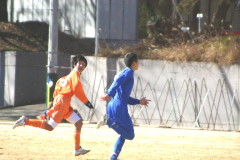 img0037.jpg