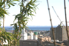 img0055.jpg