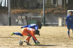 img0096.jpg