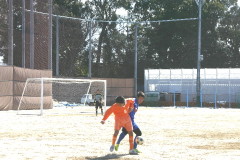 img0097.jpg
